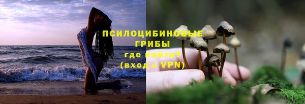 трава Яранск