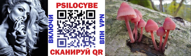 Галлюциногенные грибы MAGIC MUSHROOMS  ссылка на мегу как зайти  Бологое 